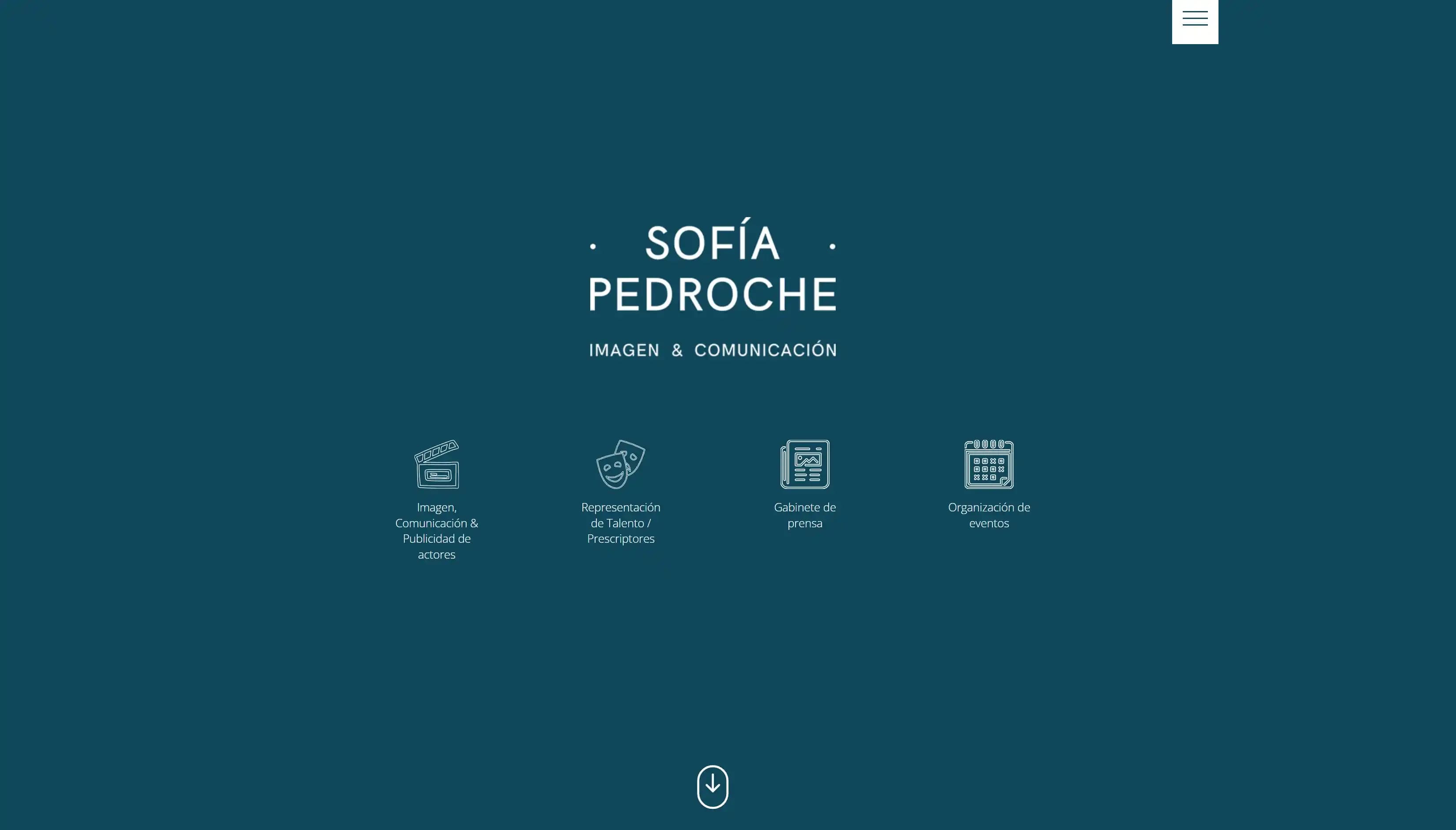 Web desarrollada para Sofía Pedroche, sector Moda · retail